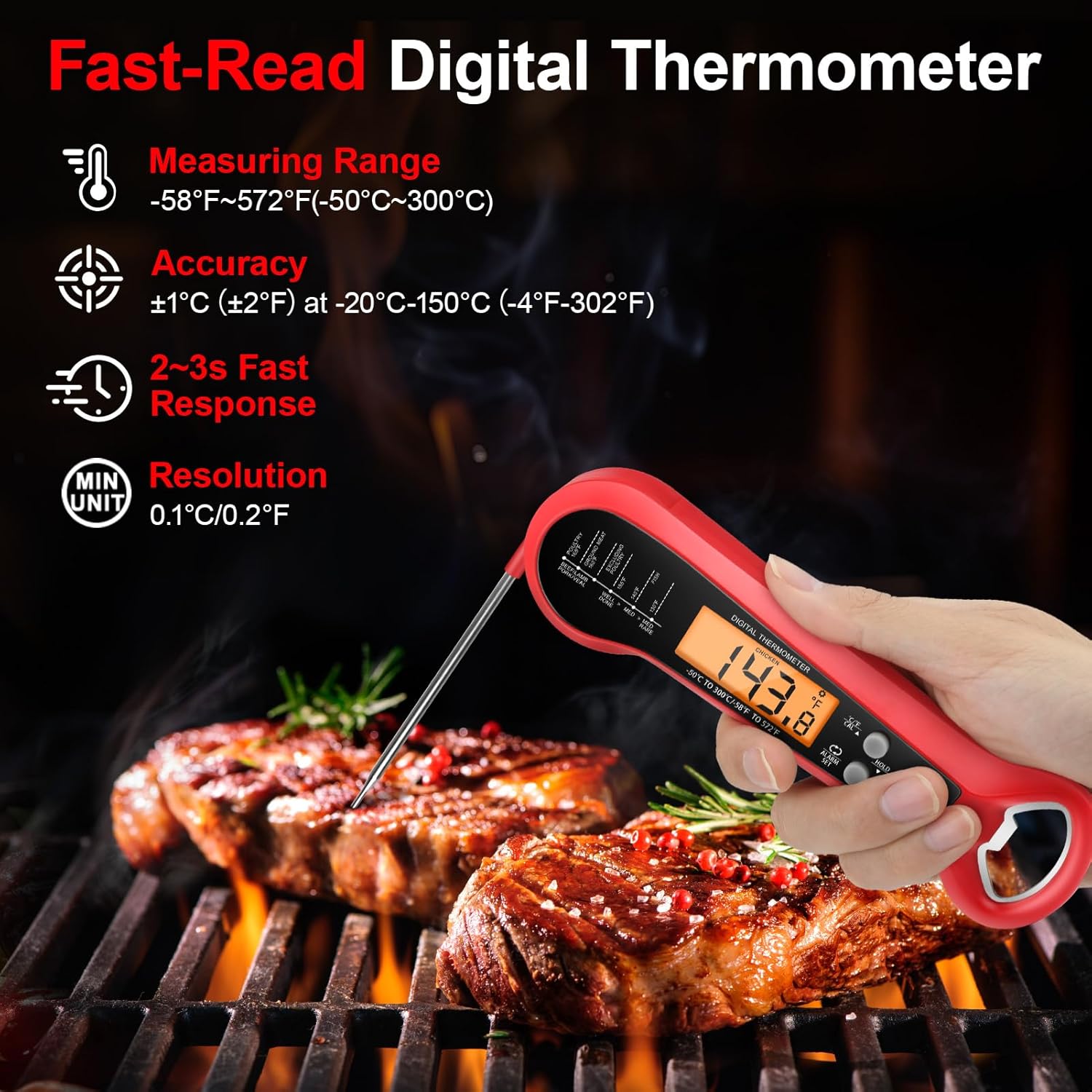 Professional Digital Meat Ther - Instant Read Thermometer review and price